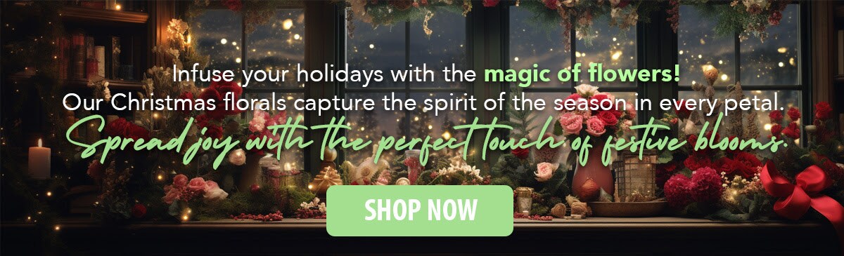 Shop Christmas Flowers!